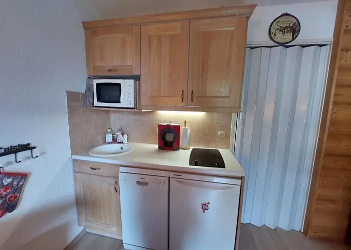 Апартаменты Confortable Pour 3 Pers. Avec Parking Aux Deux Alpes - Fr-1-516-221 *