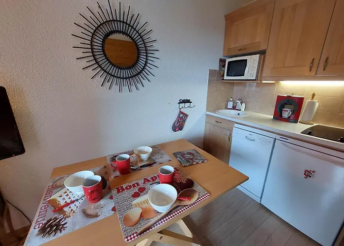 Апартаменты Confortable Pour 3 Pers. Avec Parking Aux Deux Alpes - Fr-1-516-221